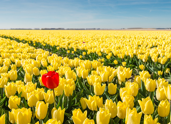 How to Go From Employee to Entrepreneur