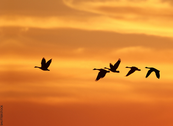 John Addison: The 5 Traits of Great Future Leaders